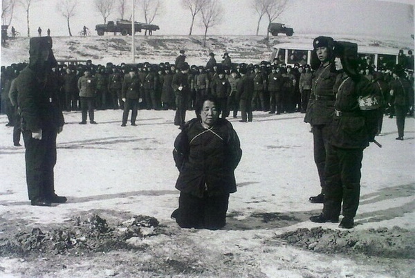 巨林帆