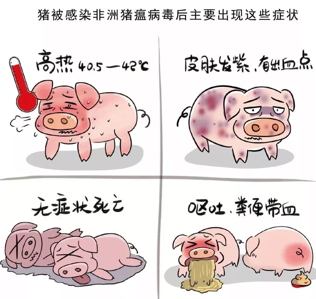 学校简介 第14页