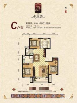 老杨