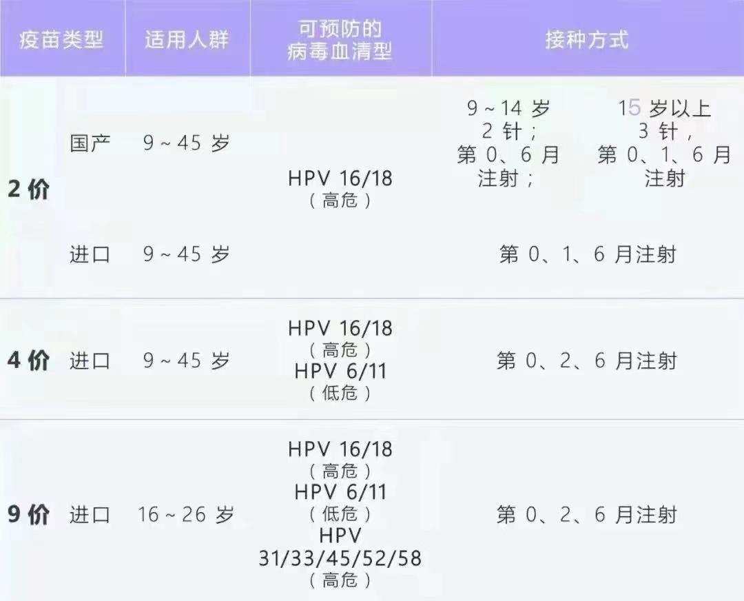 贯茵茵
