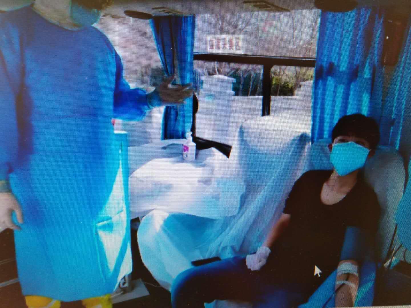 桐金